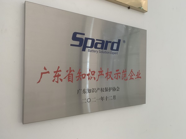 麻豆激情免费电影新能源荣获2021年度广东省知识产权示范企业