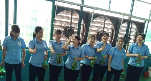 麻豆激情免费电影新能源锂麻豆免费视频厂家,向组装pack生产线发放端午福利